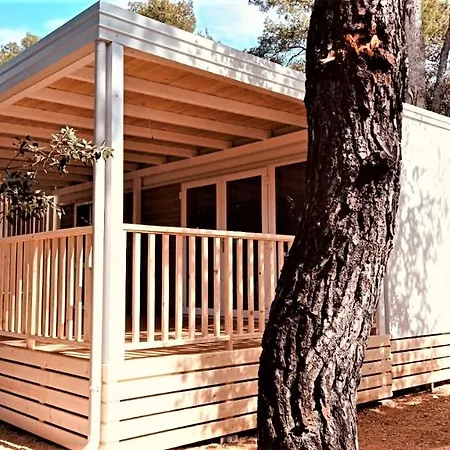 Affittacamere Mobile Home Biograd Soline Tree New