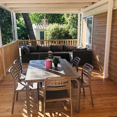 Mobile Home Biograd Soline Tree New *