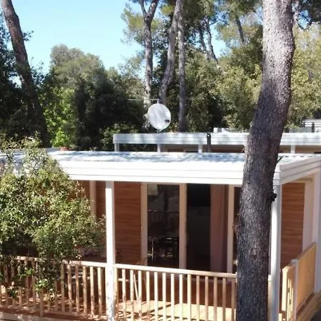 Mobile Home Biograd Soline Tree New *