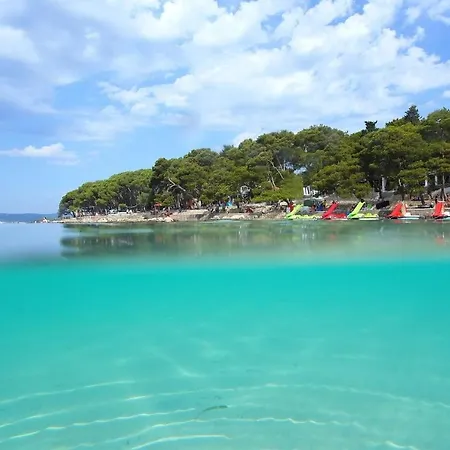 Affittacamere Mobile Home Biograd Soline Tree New *